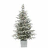 Deals 😀 Gerson Company 4.5' Potted Lightly Flocked Iceland Fir With 70 Lights 🧨