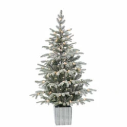 Deals 😀 Gerson Company 4.5' Potted Lightly Flocked Iceland Fir With 70 Lights 🧨