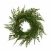 Deals 🛒 Gerson Fern Wreath ❤️ 2 Deals 🛒 Gerson Fern Wreath ❤️ -Outlet Gerson Store unnamed file 311