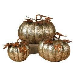 Top 10 🌟 Gerson Set Of 3 Nested Metal Pumpkins 👏