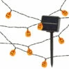 Cheapest 🔔 The Gerson Companies 5' Acrylic Pumpkin Solar Light String ⭐