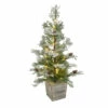 Budget 🎁 The Gerson Company 26" Flocked Pine Tree In Wooden Box With LED Lights ❤️