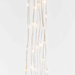 Budget 🥰 The Gerson Company 6' Warm White LED Light String Spray On Silver Wire ✔️ -Outlet Gerson Store unnamed file 519