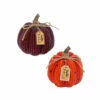 Best deal β Gerson Company 6.4"L Resin Corn Textured Pumpkins 2-pack π 2 Best deal β Gerson Company 6.4"L Resin Corn Textured Pumpkins 2-pack π -Outlet Gerson Store unnamed file 690