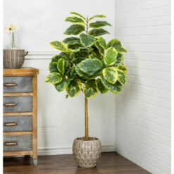 Deals ✔️ The Gerson Co. Real Touch Realistic Ficus In Plastic Pot W/ Faux Dirt 🧨 -Outlet Gerson Store unnamed file 70