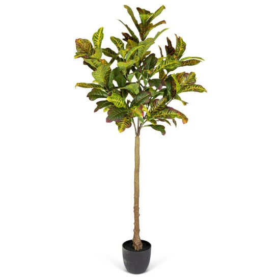 Buy π The Gerson Co. Real Touch Realistic Croton Plant Plastic Pot Faux Dirt π 3 Buy π The Gerson Co. Real Touch Realistic Croton Plant Plastic Pot Faux Dirt π