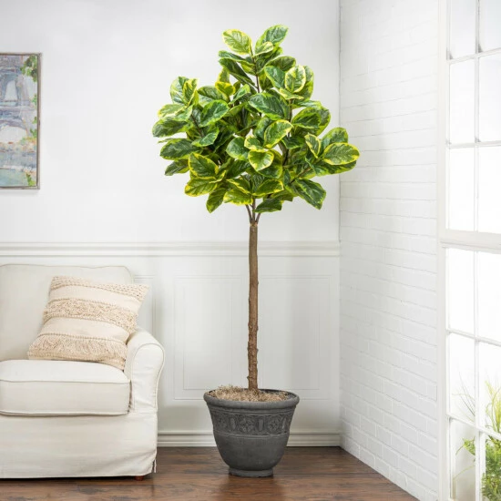 Budget π The Gerson Co. Real Touch Realistic Variegated Ficus In Plastic Pot 𧨠4 Budget π The Gerson Co. Real Touch Realistic Variegated Ficus In Plastic Pot 𧨠- Image 2